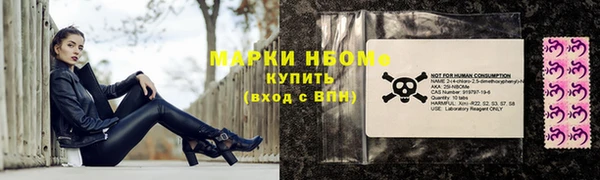 сатива Каменск-Шахтинский