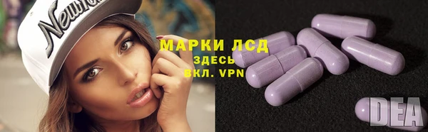 сатива Каменск-Шахтинский