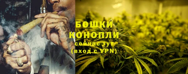 молекула духа Каменка