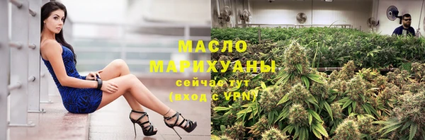 молекула духа Каменка